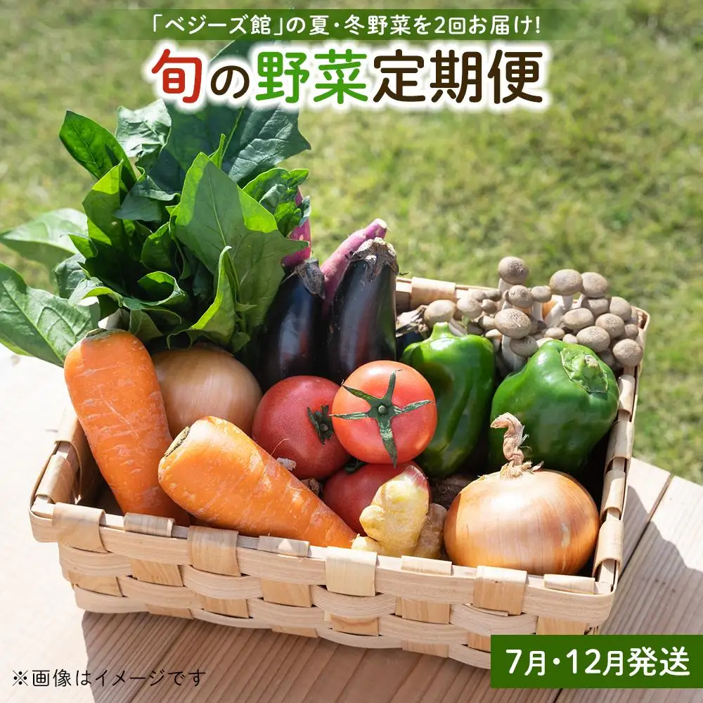 「ベジーズ館」の夏・冬野菜　年２回コース （7月と12月発送）｜【野菜定期便・野菜・定期便・冬野菜・夏野菜・野菜セット・旬の野菜・兵庫野菜・相生野菜・国産野菜・野菜詰め合わせ・冬野菜詰め合わせ・夏野菜詰め合わせ】