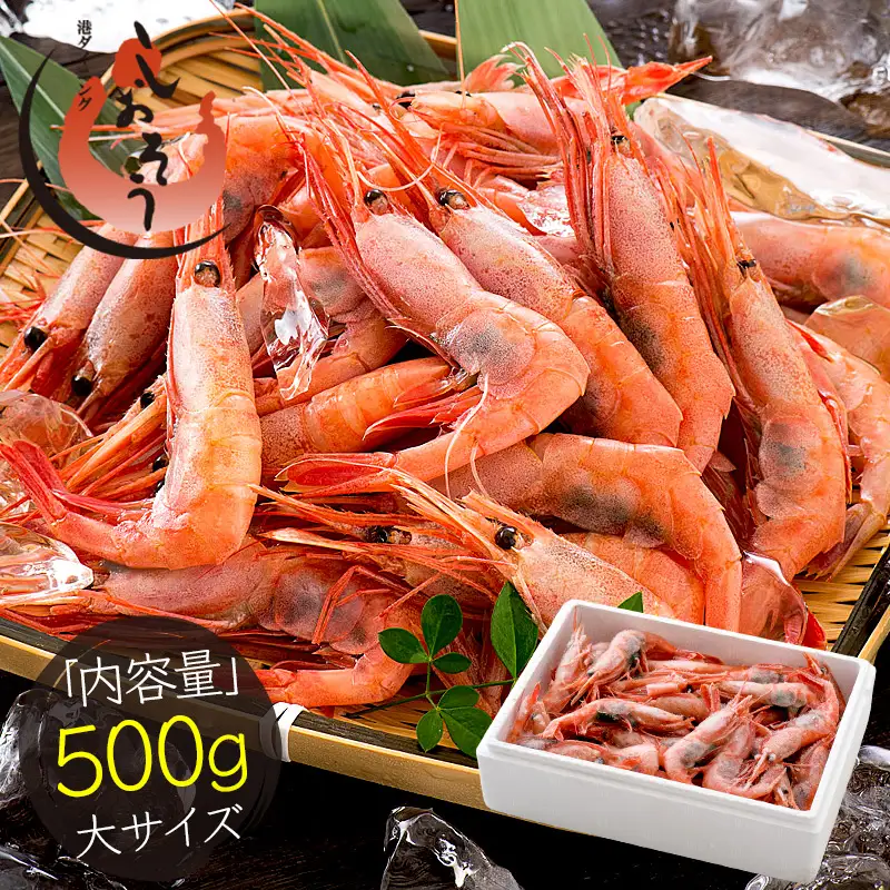 福井県敦賀産 甘えび・子持ち 大サイズ 約500g（約40～45尾）[053-a043(20)]