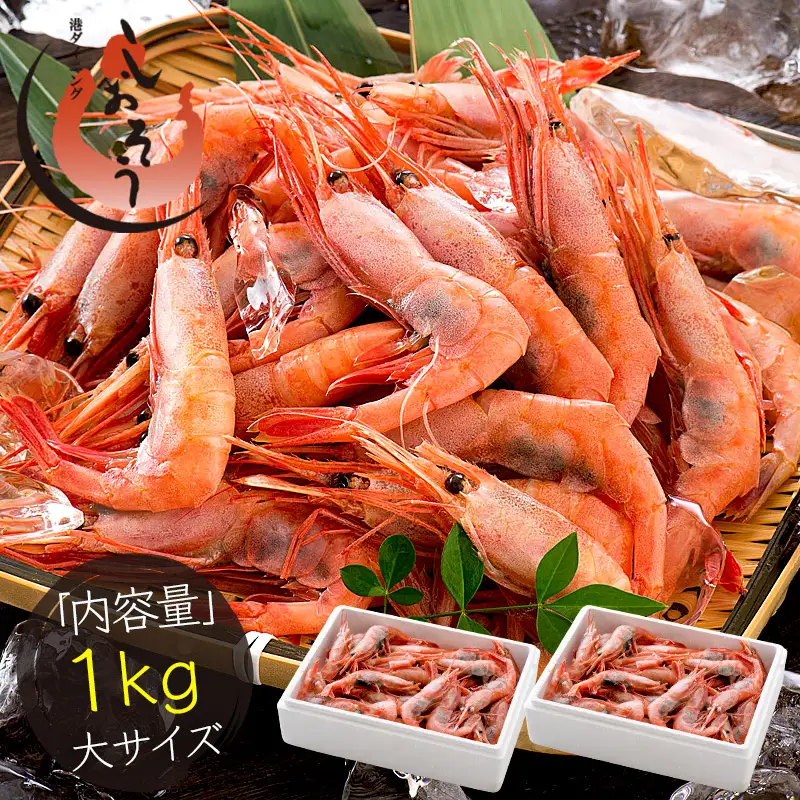 福井県敦賀産甘えび・子持ち大サイズ約1kg（約80～90尾）[053-a243(20)]