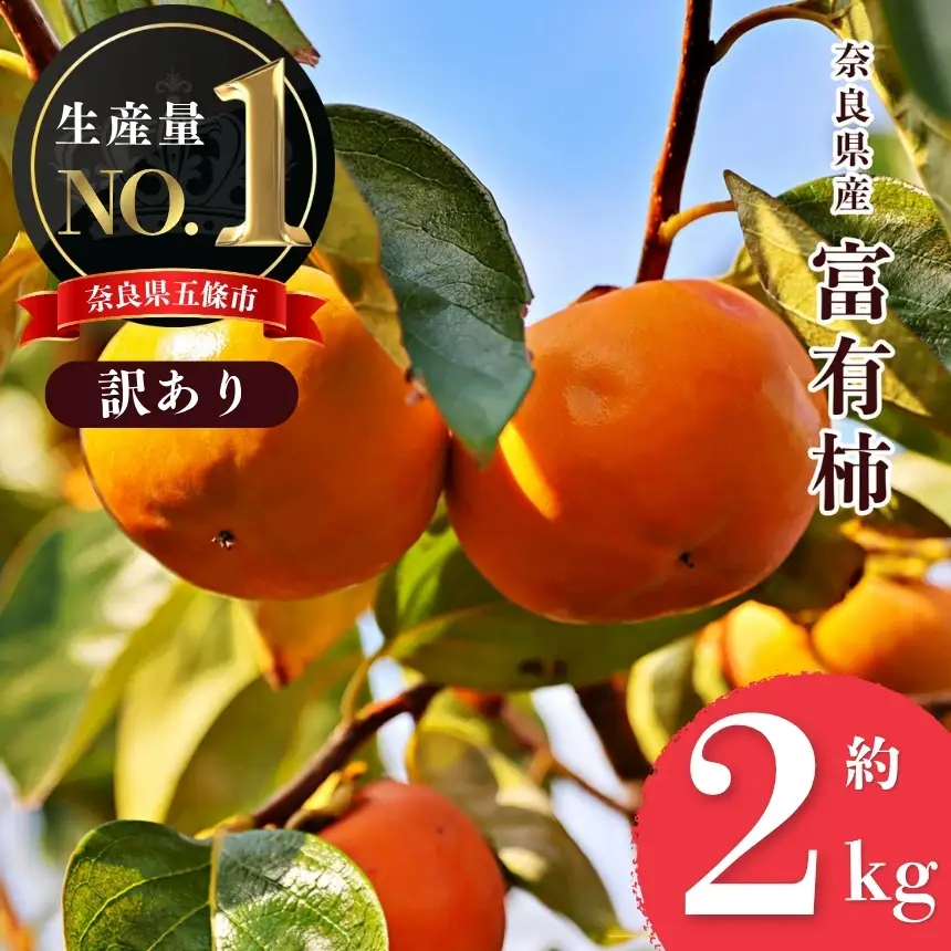 【 堀うち農園 】どっさり 約 2kg 訳あり 富有柿 | フルーツ くだもの 果物 柿 かき デザート 人気 国産 産地直送 カキ 果実 11月 順次発送 秋 旬 味覚 グルメ お取り寄せ 大容量 農家直送 ビタミン タンニン 食物繊維 豊富 美容 健康 特産品 甘い 多汁 甘柿 株式会社堀内果実園 柔らかい こだわり わけあり 訳アリ 自宅用 家庭用 ご自宅用 奈良県 五條市