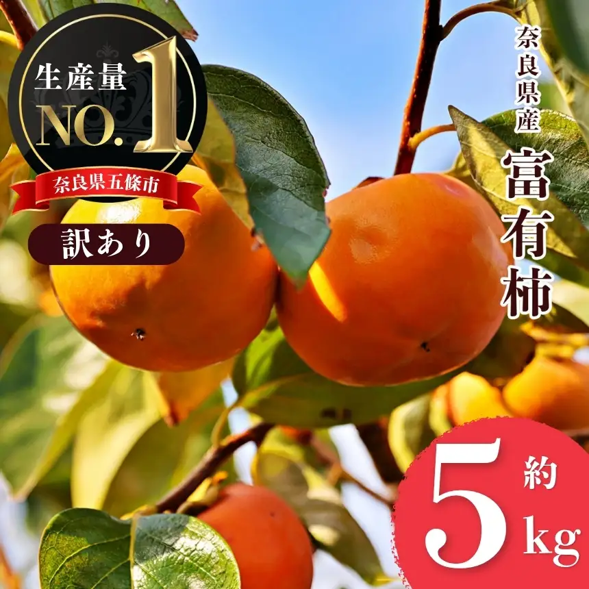 【 堀うち農園 】どっさり 約 5kg 訳あり 富有柿 | フルーツ くだもの 果物 柿 かき デザート 人気 国産 産地直送 カキ 果実 11月 順次発送 秋 旬 味覚 グルメ お取り寄せ 大容量 農家直送 ビタミン タンニン 食物繊維 豊富 美容 健康 特産品 甘い 多汁 甘柿 株式会社堀内果実園 柔らかい こだわり わけあり 訳アリ 自宅用 家庭用 ご自宅用 奈良県 五條市