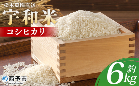 ＜令和7年産 松本農園直送 宇和米（コシヒカリ）約6kg＞ こしひかり 米 コメ こめ 白米 精米 うわまい ウワマイ ご飯 新鮮 6キロ お弁当 朝 昼 夜 国産 特産品 愛媛県 西予市【常温】『2025年9月下旬～12月下旬迄に順次出荷予定』UMT0002