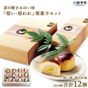 道の駅きはない屋「想い・想われ」栗菓子セット(12個入) SSF0003