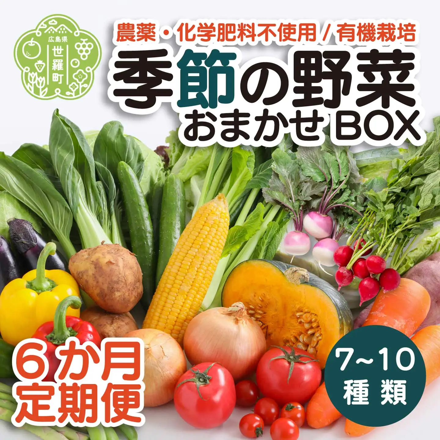 【6か月】季節の野菜詰め合わせセット 7～10類 A079-03