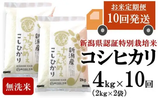 【令和8年産新米・10ヶ月定期便】コシヒカリ 無洗米 4kg（2kg×2袋）×10回（計 40kg）ヤタらうんめぇ お米 水田環境鑑定士在籍[Y0511]
