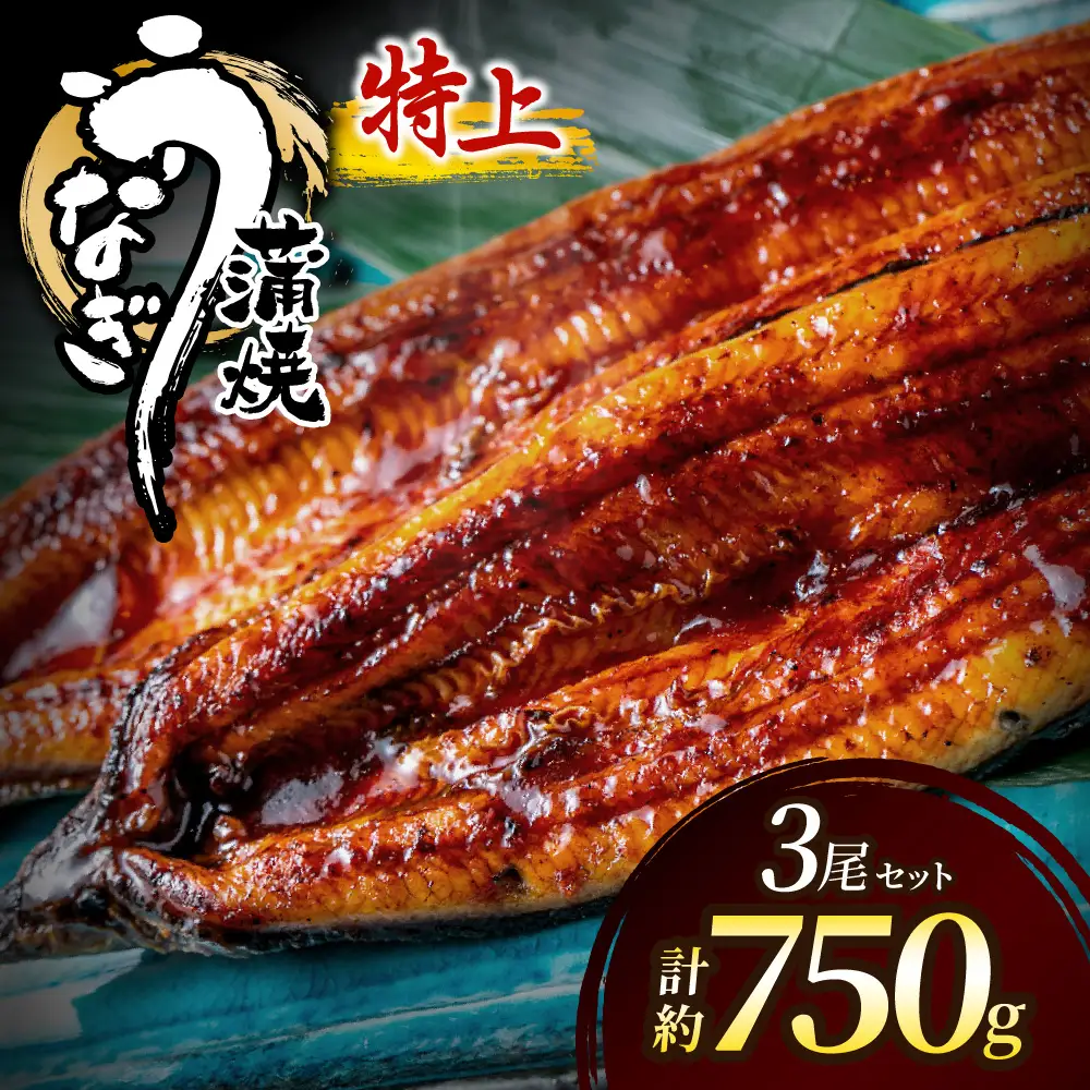 うなぎ蒲焼き3尾 計750g以上(250g以上×3尾)【魚住商店】_AS2102-00 うなぎ 鰻 蒲焼 真空パック 福岡県宗像市 宗像市 福岡 宗像