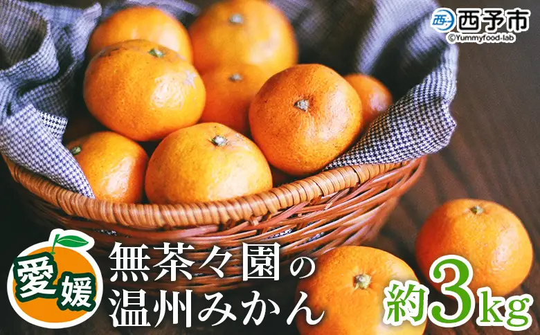 ＜無茶々園 温州みかん 約3kg＞ 【先行予約】果物 くだもの ミカン 蜜柑 柑橘 フルーツ うんしゅうみかん 選べる内容量 贈り物 ギフト おいしい 期間限定 季節限定 食べて応援 特産品 愛媛県 西予市 【常温】『2026年11月～12月上旬に順次出荷予定』AMC0002