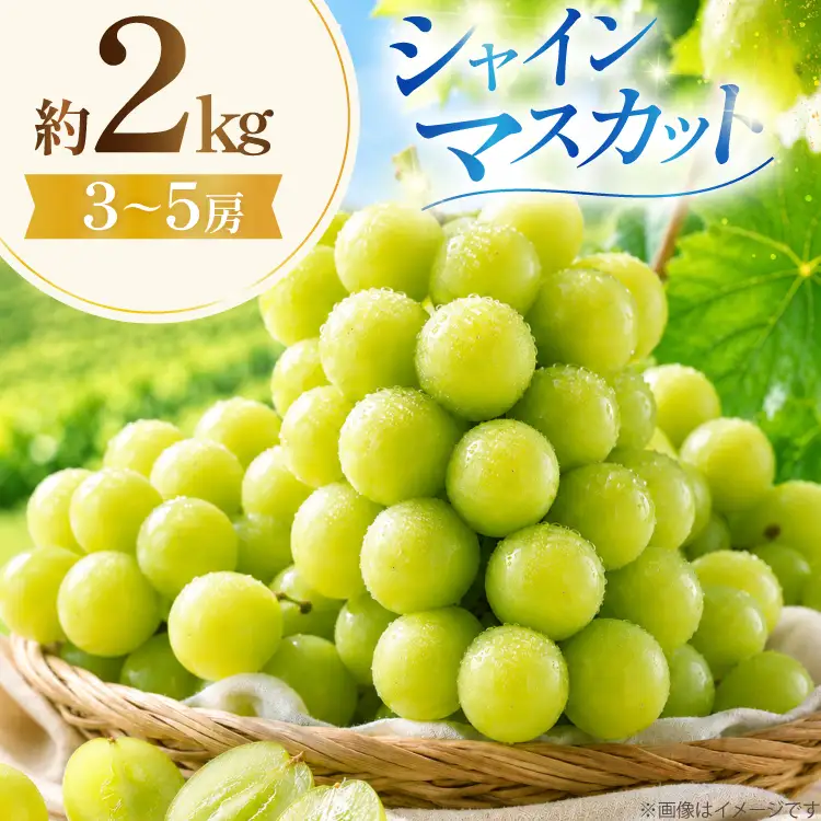 v1?ProductId=2052478&