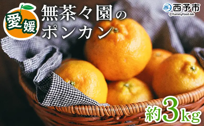 先行予約 ＜無茶々園のポンカン 約3kg＞ 果物 くだもの フルーツ ぽんかん みかん 蜜柑 柑橘類 かんきつ 旬 甘い 濃厚 新鮮 期間限定 季節限定 産地直送 特産品 愛媛県 西予市 【常温】『2027年1月～2月中旬に順次出荷予定』AMC0004