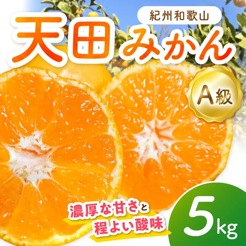 天田みかん（紀州和歌山） A級5kg【1272】
