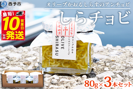 ＜今市水産 しらチョビギフト3個(80g×3個)＞ しらす シラス オイル漬け アンチョビ しらちょび 簡単レシピ付き パスタ おつまみ オリーブオイル漬け ご飯のお供 土産 手土産 贈り物 特産品 愛媛県 西予市【常温】『最短10営業日以内に順次発送予定』 AIS0001