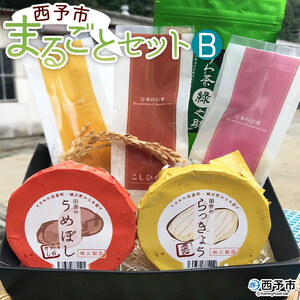西予市まるごとセットB SEI0001