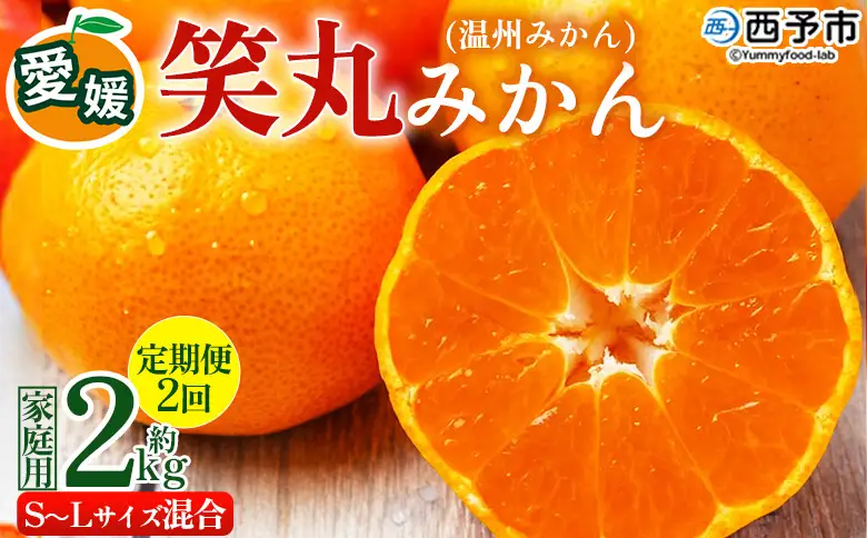 訳あり ワケアリ 果物 くだものフルーツ ミカン