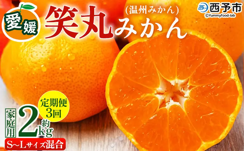 訳あり ワケアリ 果物 くだものフルーツ ミカン