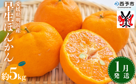＜愛媛明浜産 早生ぽんかん 約5kg 1月発送＞ 果物 フルーツ みかん ミカン 蜜柑 柑橘 ポンカン 早生 生産量全国1位 おいしい 特産品 渡江から一歩を踏み出す会 愛媛県 西予市 【常温】『2025年1月上旬～2月下旬迄に順次出荷予定』ATI0004