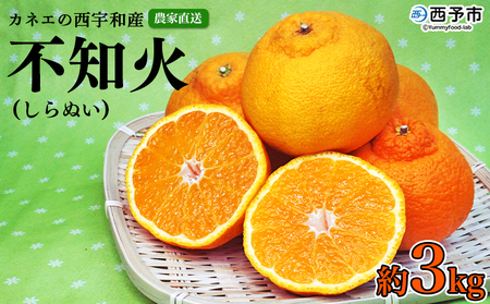 ＜カネエの西宇和産 不知火（しらぬい）3kg前後＞ 家庭用 農家直送 果物 くだもの フルーツ ミカン オレンジ 甘い おいしい サイズ混合 食べて応援 特産品 いのうえ農園 愛媛県 西予市【常温】『2026年3月中旬より順次発送予定』MIN0001