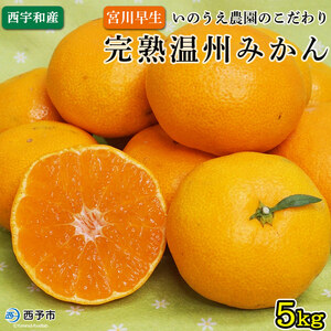 いのうえ農園直送西宇和産温州みかん（宮川早生） 5kg MIN0002