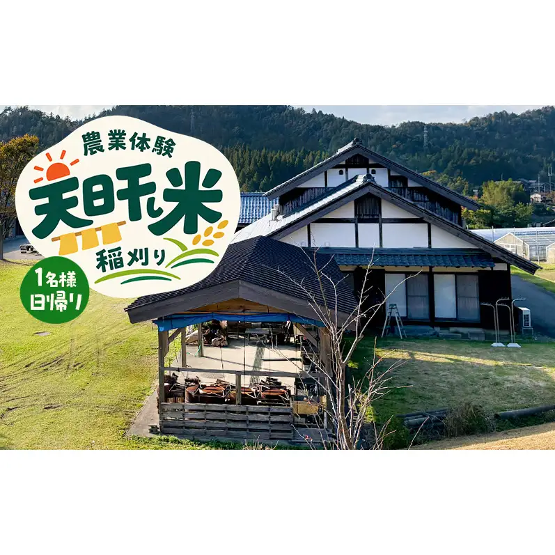 ～天日干し米　稲刈り～　農業体験　1名様　日帰り