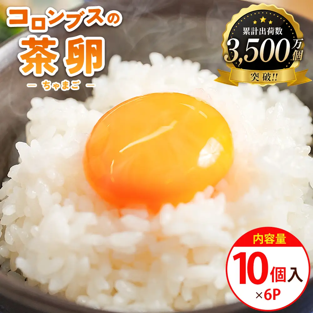 たまご コロンブスの茶卵 10個入×6P 卵が苦手な子どもも食べられた！ kl-0005