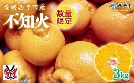 愛媛県明浜産 不知火（3kg） ATI0008