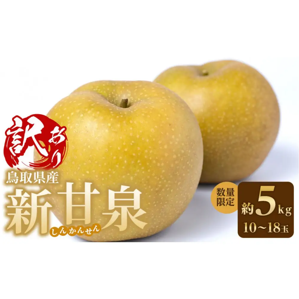 訳あり 数量限定 鳥取県産 新甘泉（しんかんせん） 約5kg （10～18玉）≪2026年9月中旬頃出荷≫