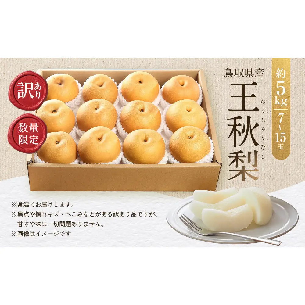 【先行予約】訳あり 数量限定 鳥取県産 王秋梨（おうしゅうなし） 約5kg （7～15玉）≪2026年11月中旬頃出荷≫