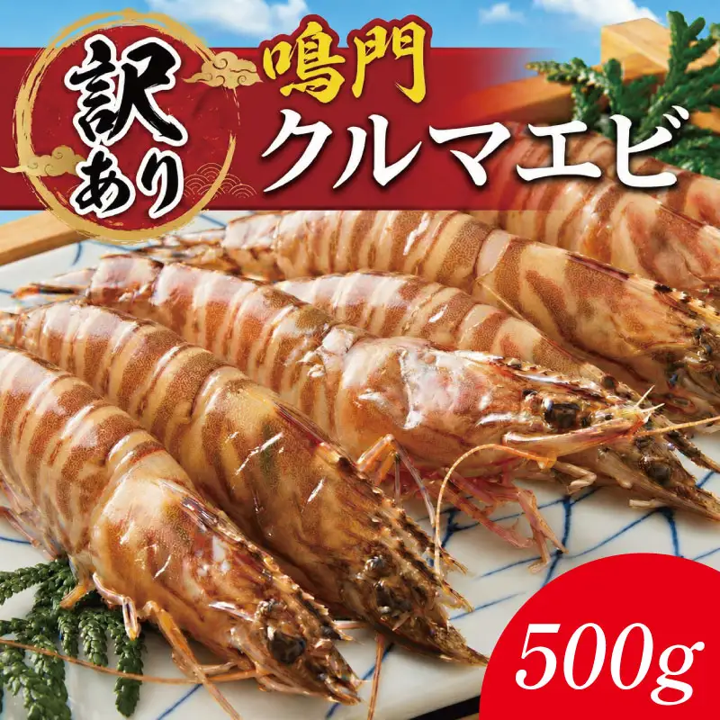 訳あり 車海老 500g クルマエビ 車エビ