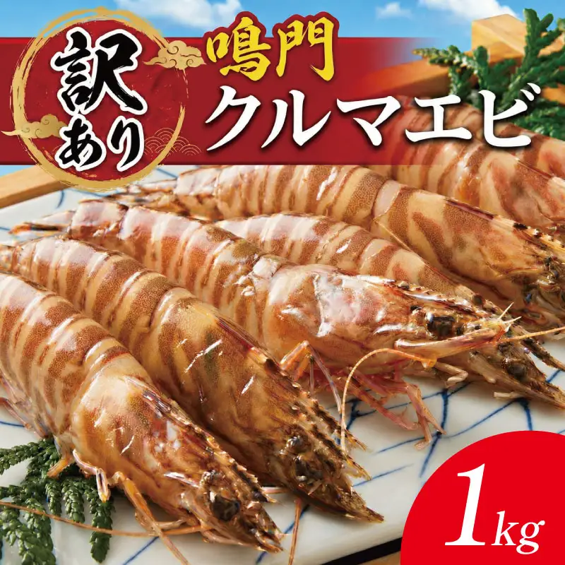 訳あり 車海老 1kg クルマエビ 車エビ