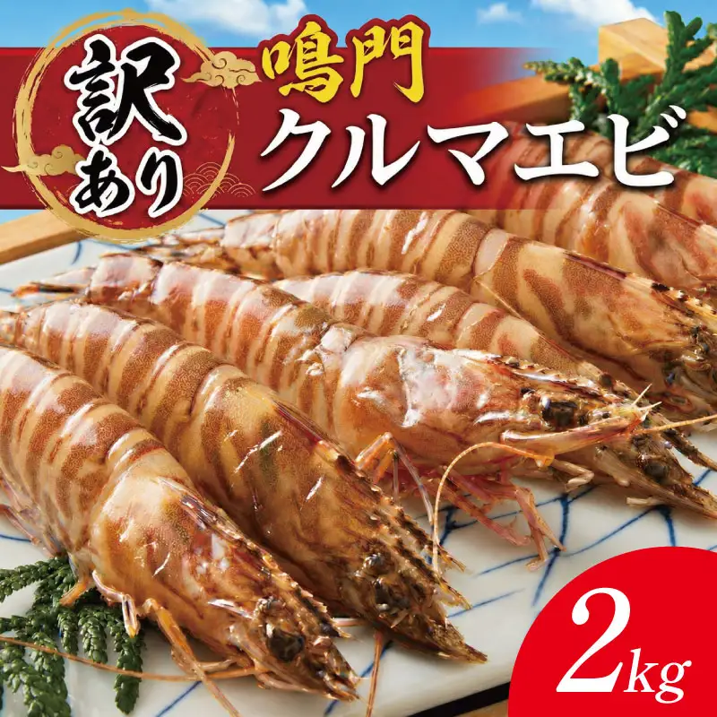 訳あり 車海老 2kg クルマエビ 車エビ