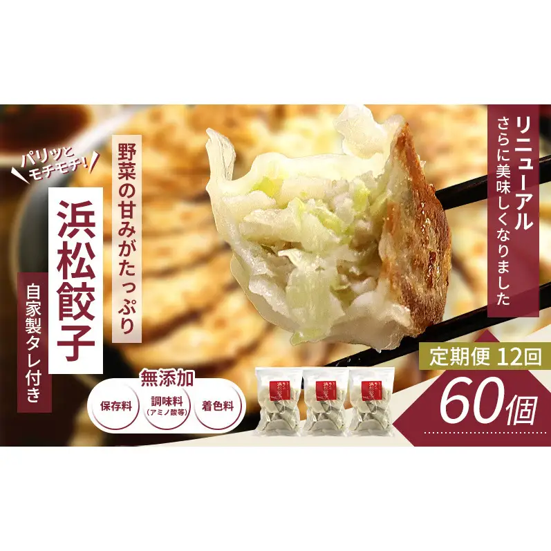 【定期便12回】浜松餃子 60個 (20個×3袋) セット 詰め合わせ 餃子のタレ 小袋 知久屋 国産 ぎょうざ 餃子 ギョーザ 冷凍餃子 静岡 浜松市 【配送不可：離島】
