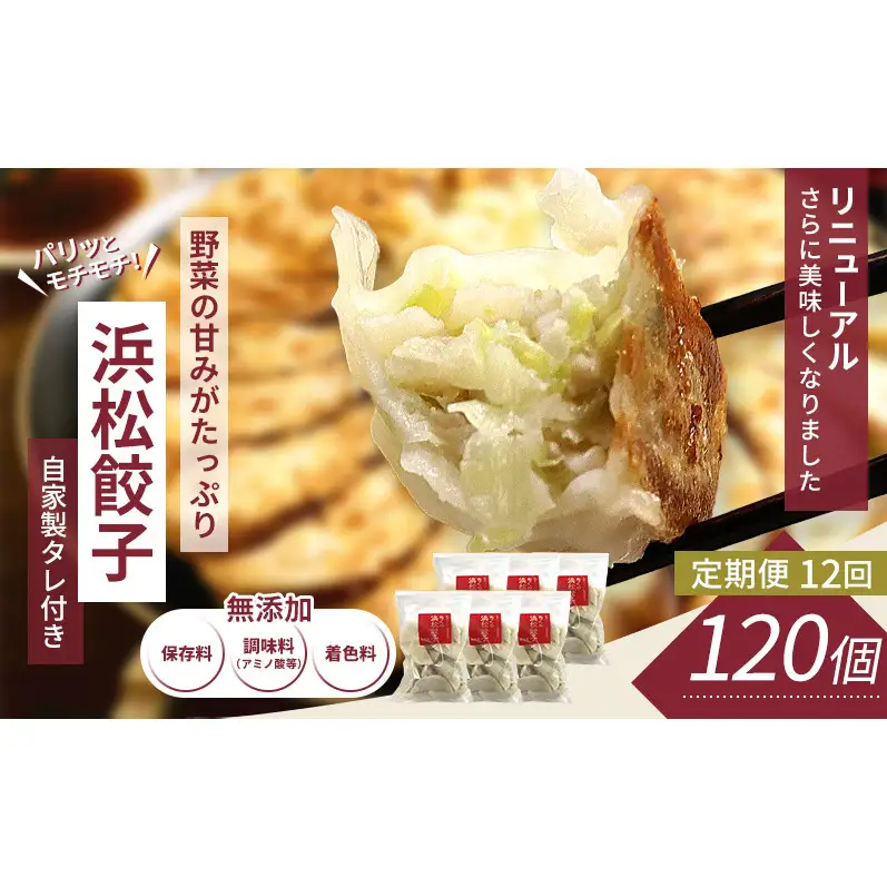 【定期便12回】浜松餃子 120個 (20個×6袋) セット 詰め合わせ 餃子のたれ 小袋 知久屋 国産 ぎょうざ 餃子 ギョーザ 冷凍餃子 冷凍ギョーザ 工場直送 ヘルシー あっさり 惣菜 中華 点心 静岡 浜松市 【配送不可：離島】