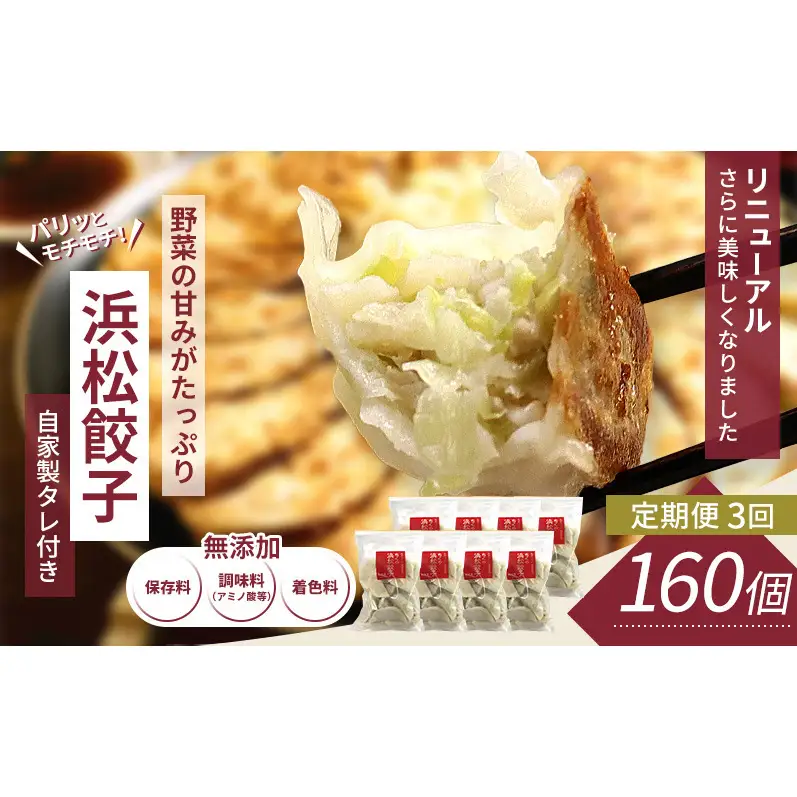 【定期便3回】浜松餃子 160個 (20個×8袋) セット 詰め合わせ 餃子のたれ 小袋 知久屋 国産 ぎょうざ 餃子 ギョーザ 冷凍餃子 冷凍ギョーザ 工場直送 ヘルシー あっさり 惣菜 中華 点心 静岡 浜松市 【配送不可：離島】