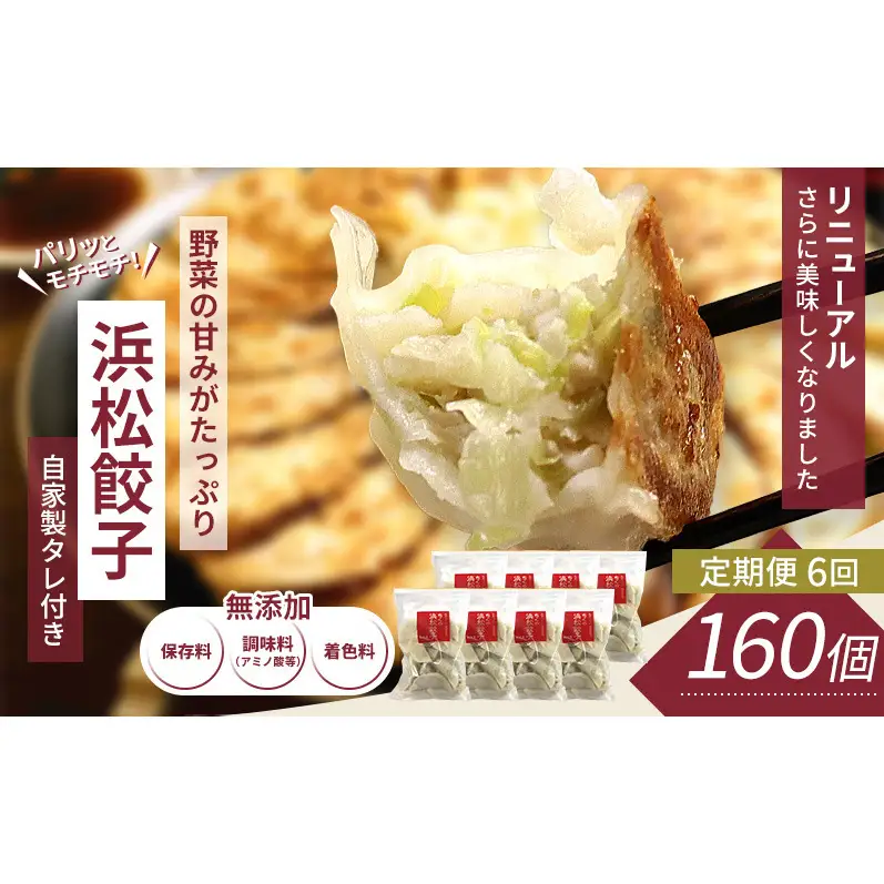 【定期便6回】浜松餃子 160個 (20個×8袋) セット 詰め合わせ 餃子のたれ 小袋 知久屋 国産 ぎょうざ 餃子 ギョーザ 冷凍餃子 冷凍ギョーザ 工場直送 ヘルシー あっさり 惣菜 中華 点心 静岡 浜松市 【配送不可：離島】