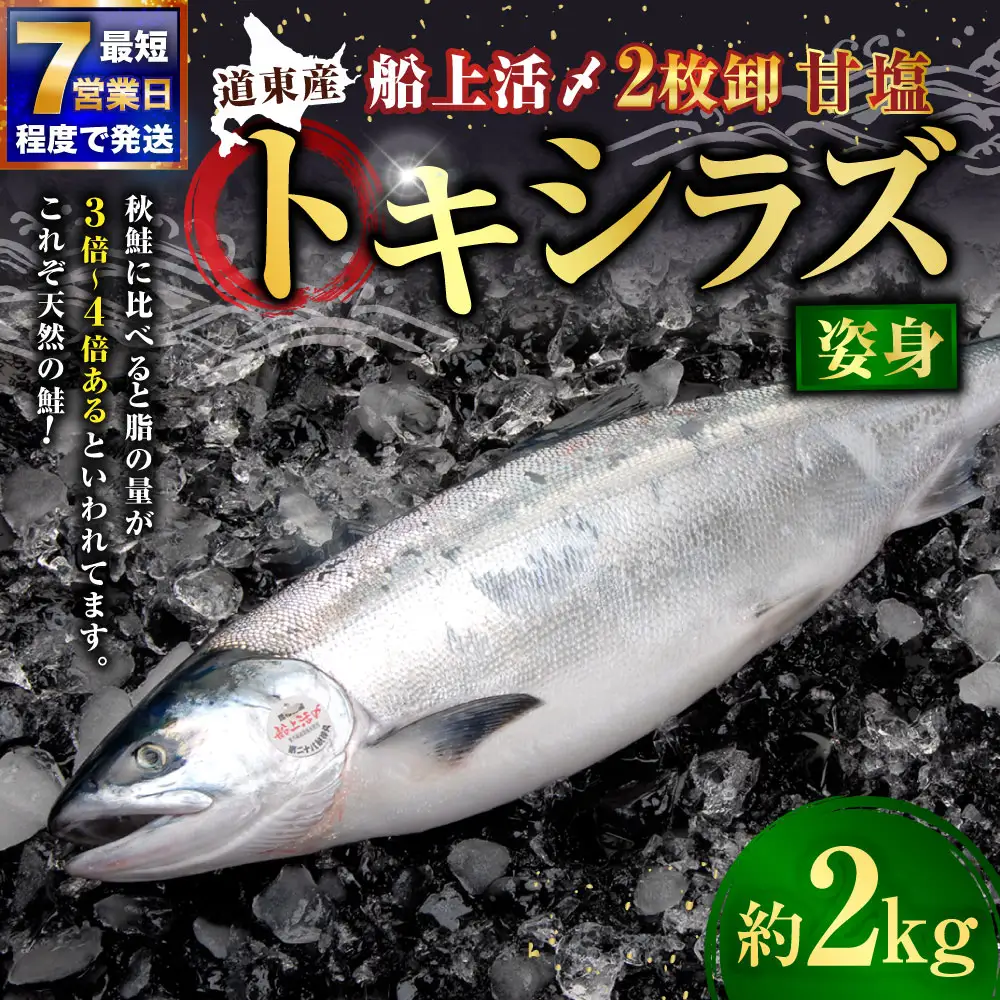 【 7営業日程度で発送 】 定置網漁法 【 道東産 】 船上活〆トキシラズ 2枚卸姿身 2kg 甘塩 時鮭 鮭 さけ サケ シャケ 魚 魚類 魚介 魚介類 おつまみ おかず お惣菜 惣菜 酒の肴 姿身 海鮮 冷凍