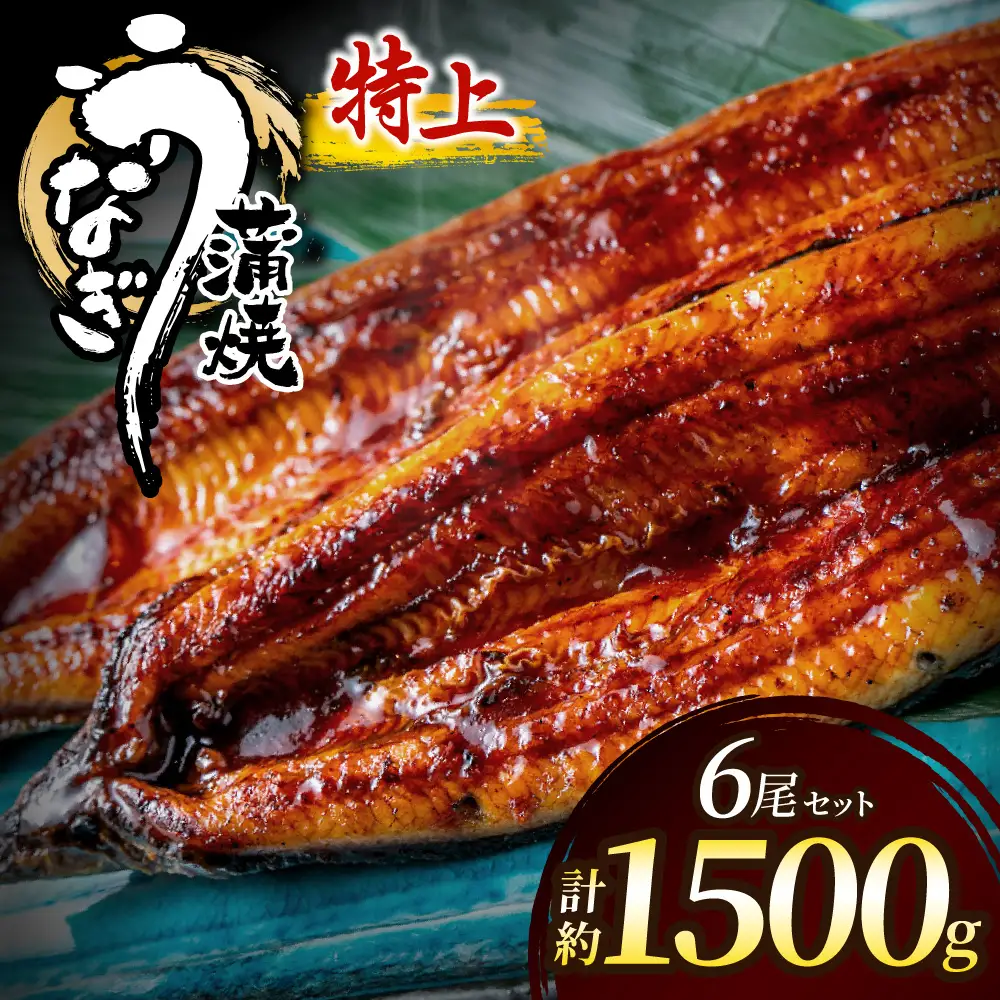 うなぎ蒲焼き6尾 計1.5kg以上(250g以上×6尾)【魚住商店】_AS2103-00 うなぎ 鰻 蒲焼 真空パック 福岡県宗像市 宗像市 福岡 宗像