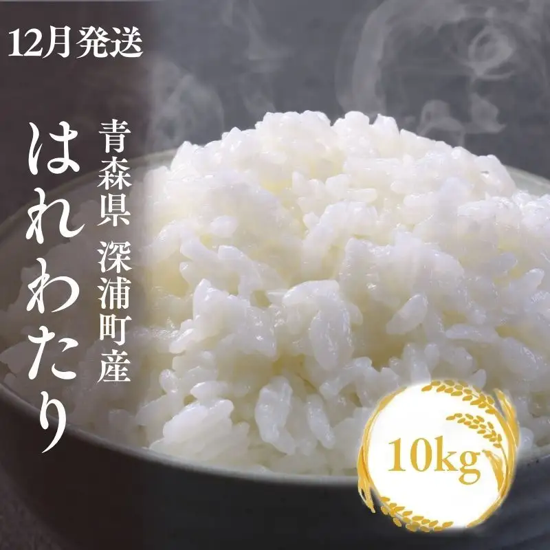 米 白米【令和8年産 新米】はれわたり 10kg 白米