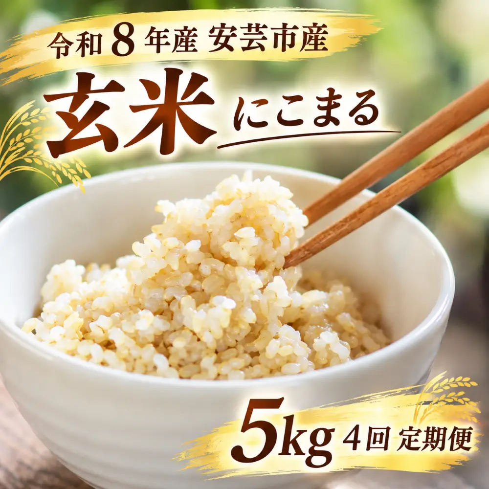 先行受付 令和8年産 にこまる玄米 20kg 5kg×4回 定期便 【にこまる
