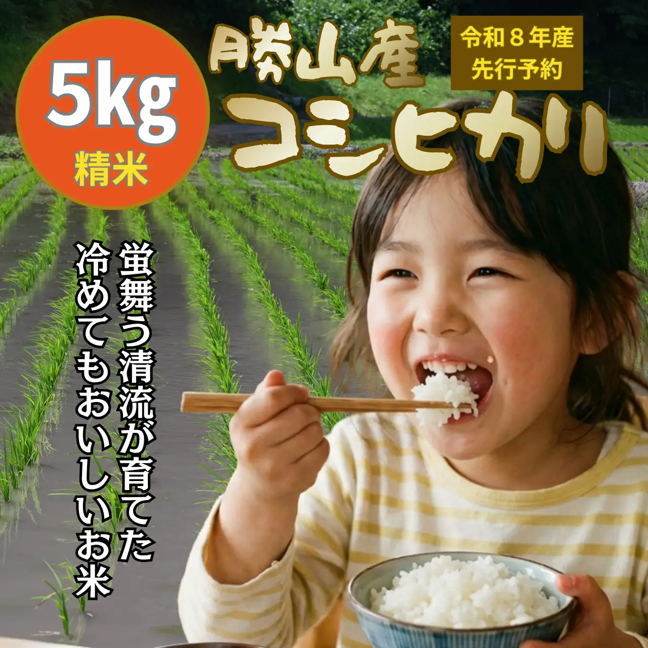 米 コシヒカリ 精米 5kg 令和8年産 先行予約 [A-104002]
