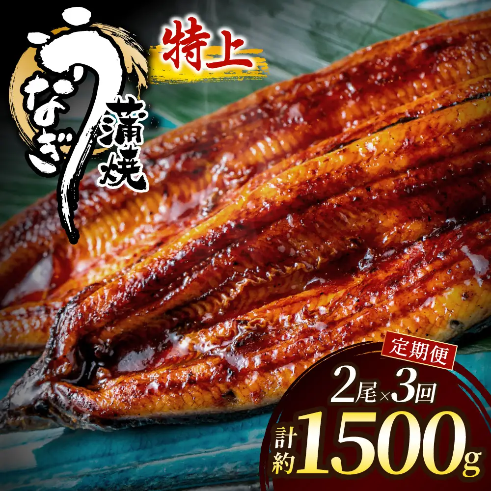【3回定期便】うなぎ蒲焼き500g以上(250g以上×2尾)【魚住商店】_AM0223-00 うなぎ 鰻 蒲焼 真空パック 福岡県宗像市 宗像市 福岡 宗像