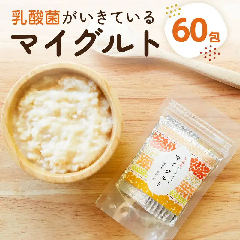 乳酸菌がいきているマイグルト　1ｇ×60包 【kw0134-0068】