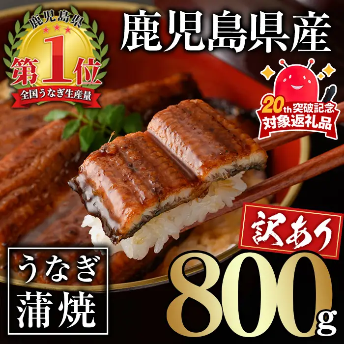 ＜訳あり＞ 無投薬！ 鹿児島県産 うなぎ 蒲焼 セット(計800g・尾数不定) 鰻 きざみ 冷凍【西日本養鰻】A1162