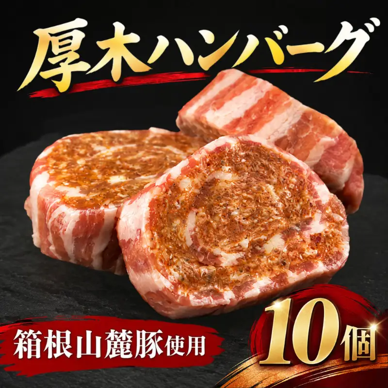 厚木ハンバーグ 10個 ハンバーグ