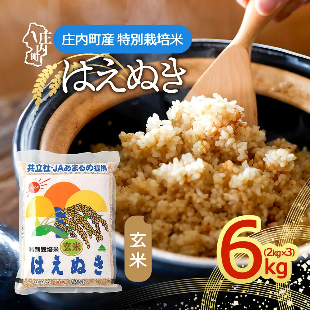 【令和8年産】特別栽培米 玄米 はえぬき 6kg 2kg×3袋 庄内町産 余目産 ブランド米 米 山形 庄内平野 甘み 粘り バランスの良い ごはん