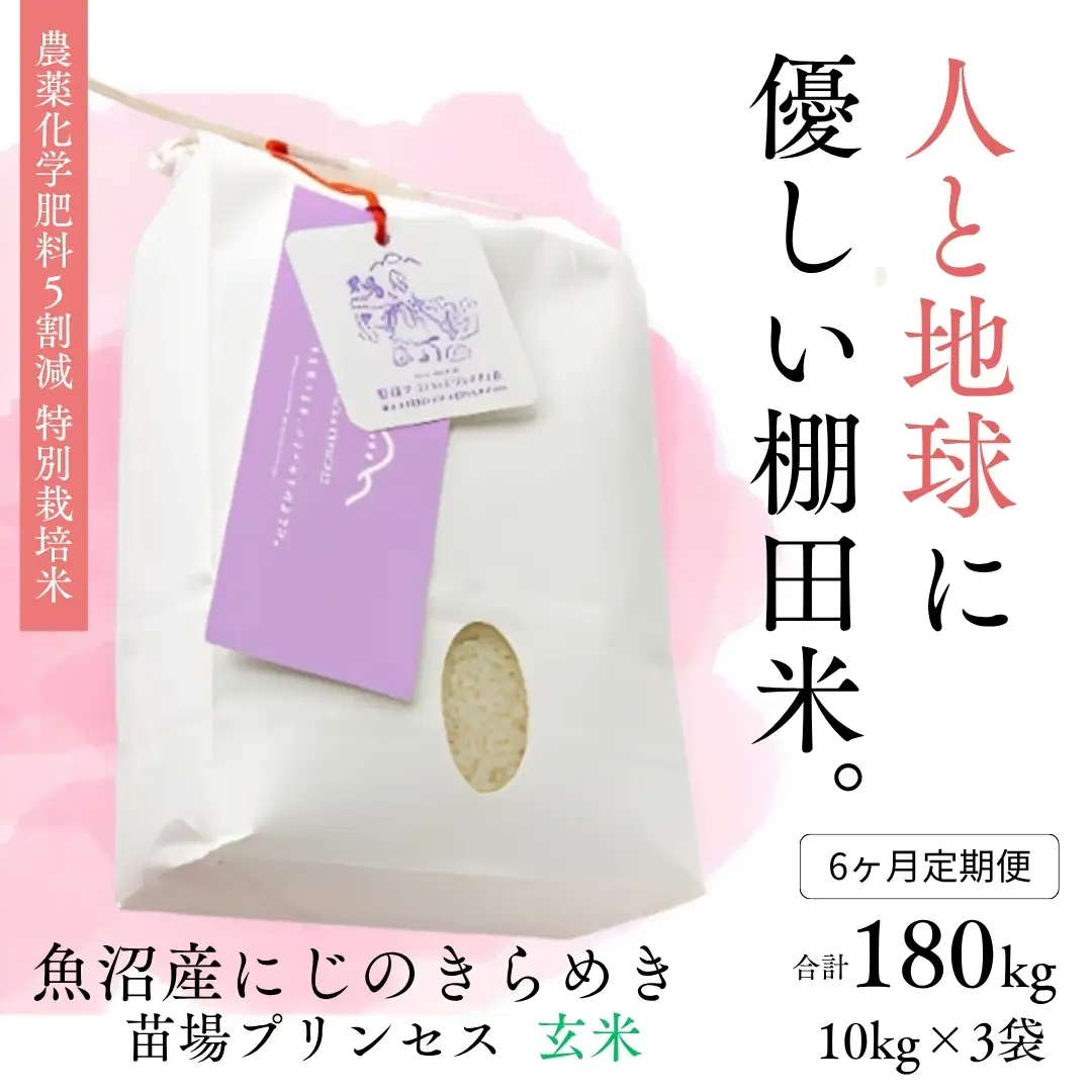 【令和8年産】【6ヶ月定期便】【農薬化学肥料5割減】魚沼産にじのきらめき苗場プリンセス特別栽培米 玄米 30kg(10kg×3) 計180kg | 津南町 にじのきらめき
