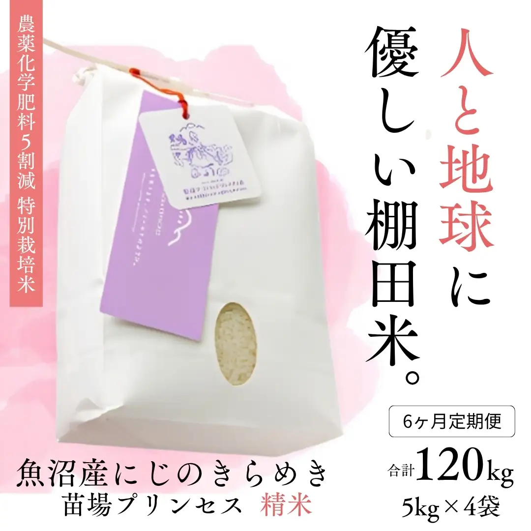 【令和8年産】【6ヶ月定期便】【農薬化学肥料5割減】魚沼産にじのきらめき苗場プリンセス特別栽培米 精米20kg(5kg×4)計120kg | 津南町 にじのきらめき