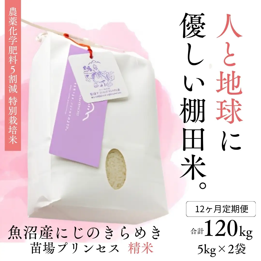 【令和8年産】【12ヶ月定期便】【農薬化学肥料5割減】魚沼産にじのきらめき苗場プリンセス特別栽培米 精米10kg(5kg×2)計120kg | 津南町 にじのきらめき
