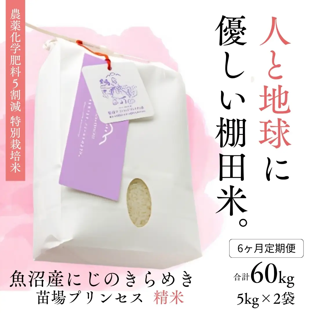 【令和8年産】【6ヶ月定期便】【農薬化学肥料5割減】魚沼産にじのきらめき苗場プリンセス特別栽培米 精米10kg(5kg×2)計60kg | 津南町 にじのきらめき