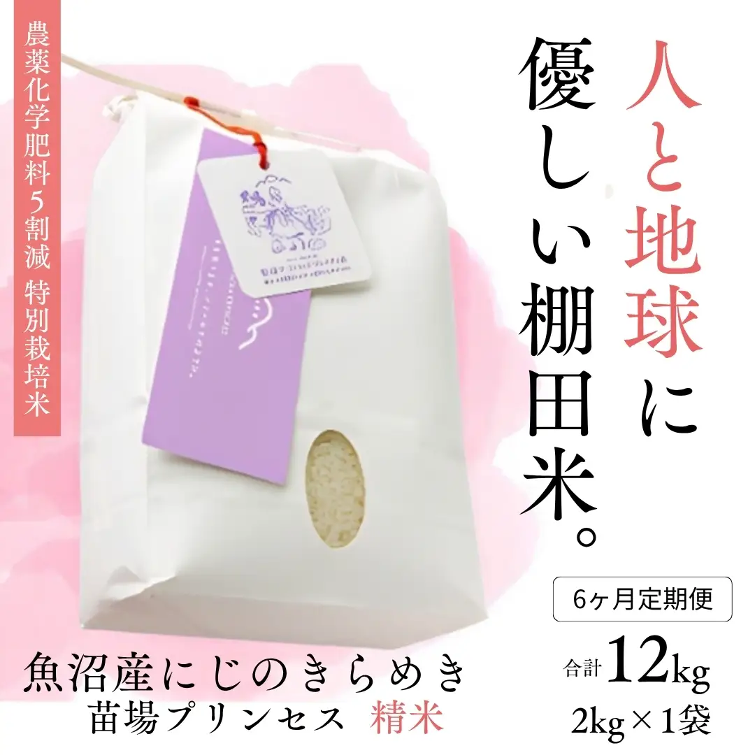 【令和8年産】【6ヶ月定期便】【農薬化学肥料5割減】魚沼産にじのきらめき苗場プリンセス特別栽培米 精米2kg 計12kg | 津南町 にじのきらめき