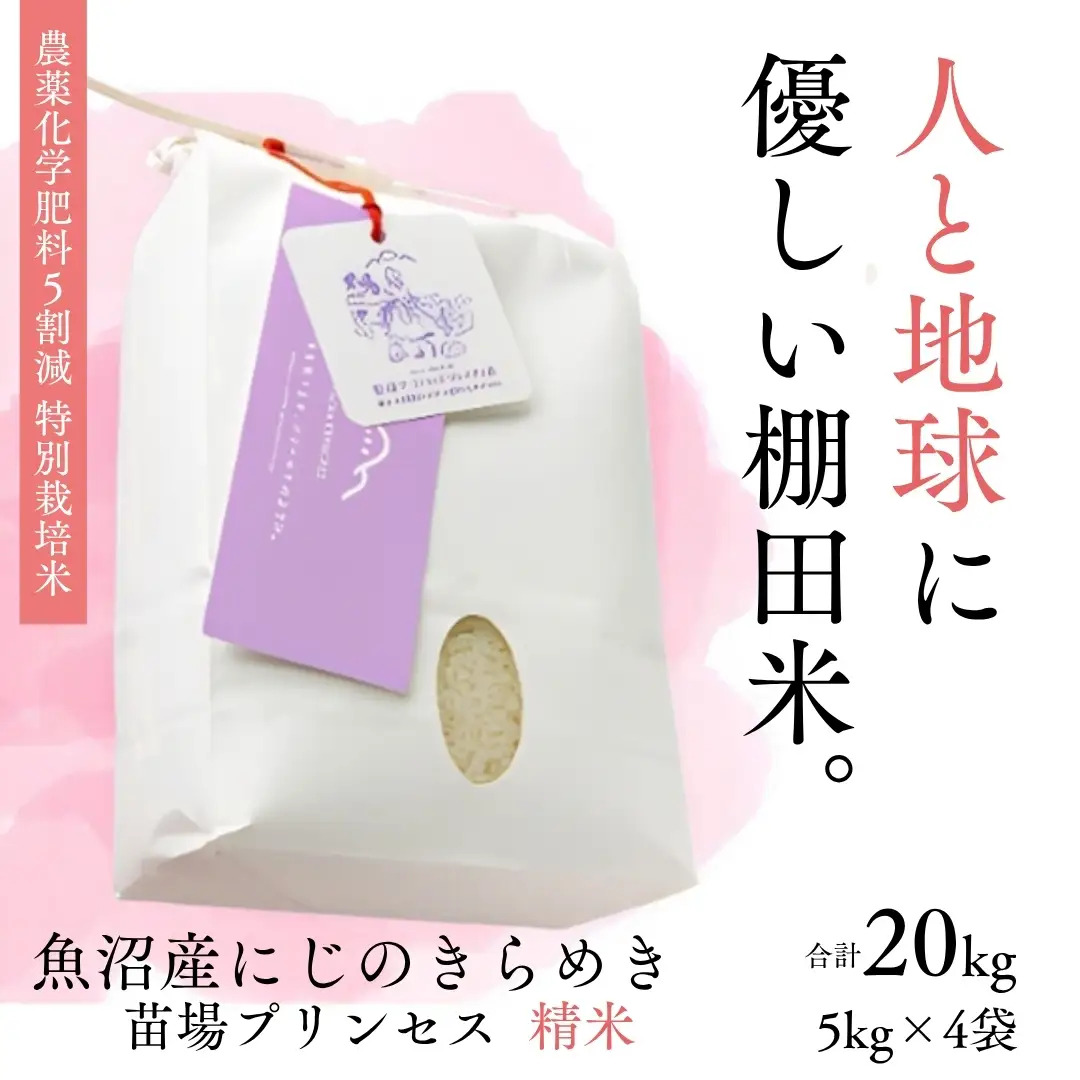 【令和8年産】【農薬化学肥料5割減】魚沼産にじのきらめき苗場プリンセス特別栽培米 精米20kg (5kg×4) | 津南町 にじのきらめき