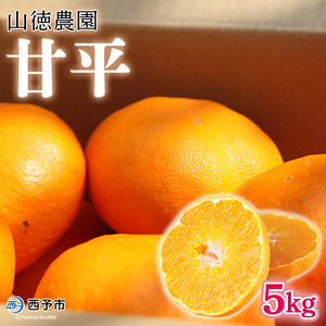 山徳農園甘平 MYT0004